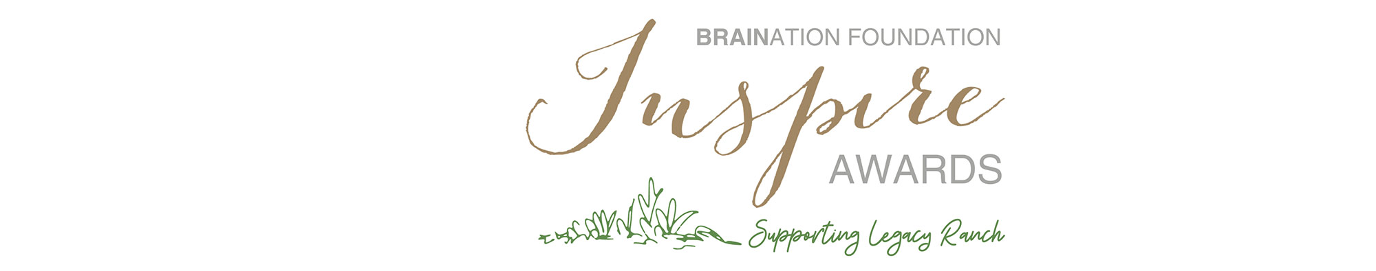 Braination Foundation Inspire Awards. Supporting Rise Inspire Academy.
